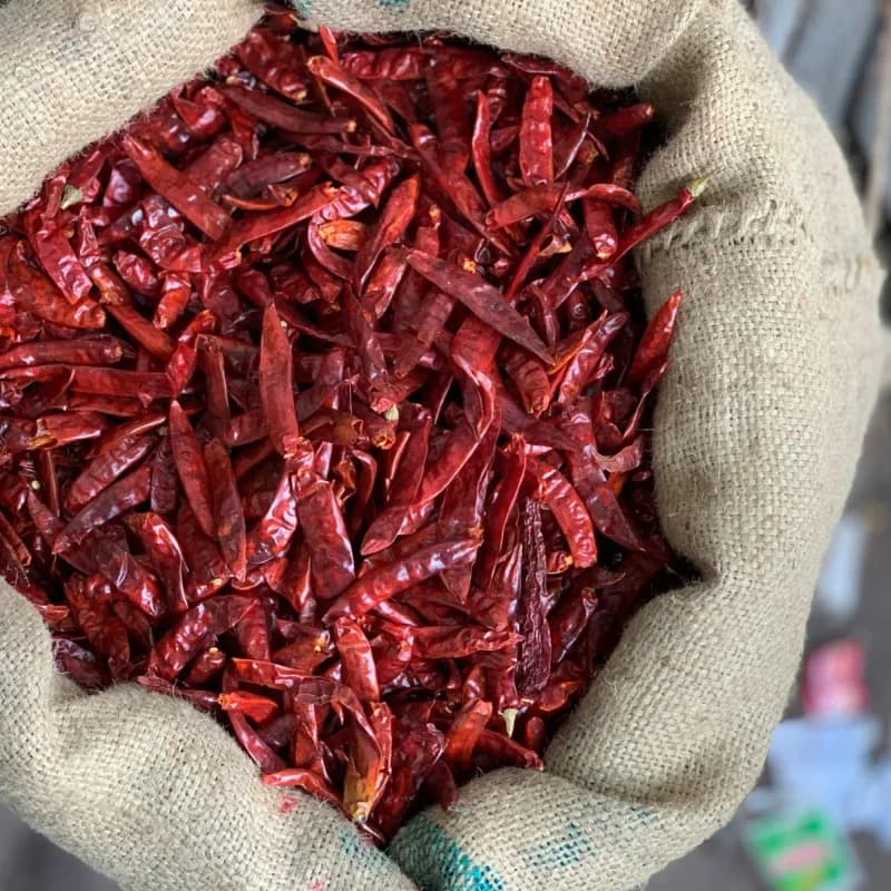 Bulk whole dry red chillies in an open jute export sack