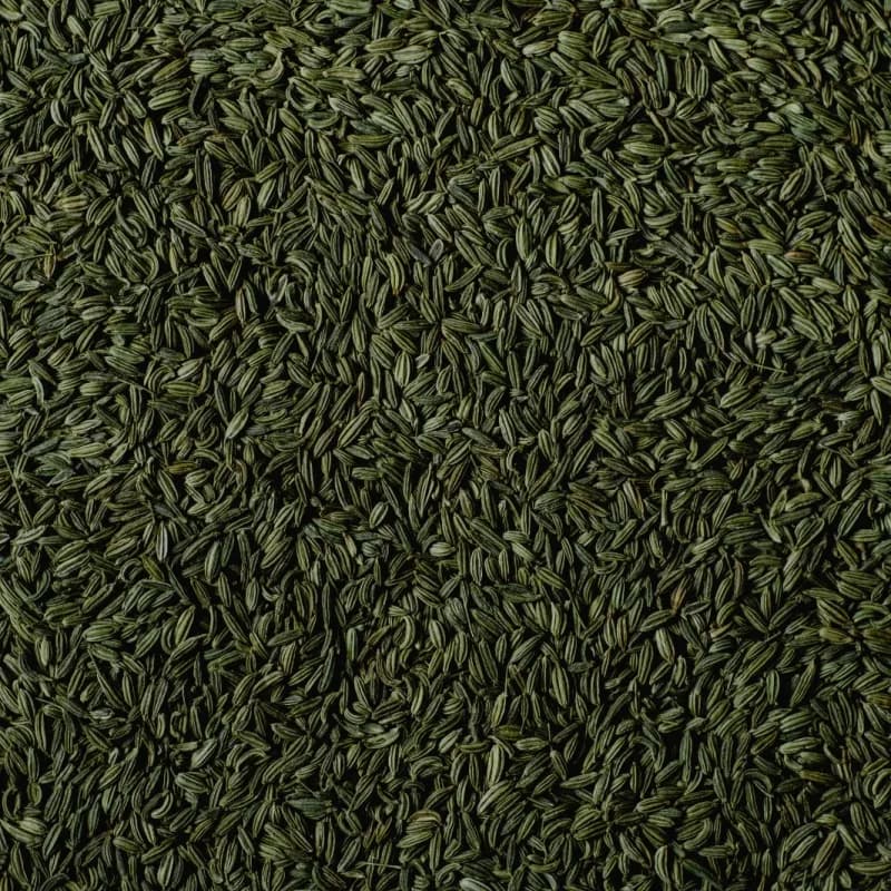 Bulk whole fennel seeds commodity texture