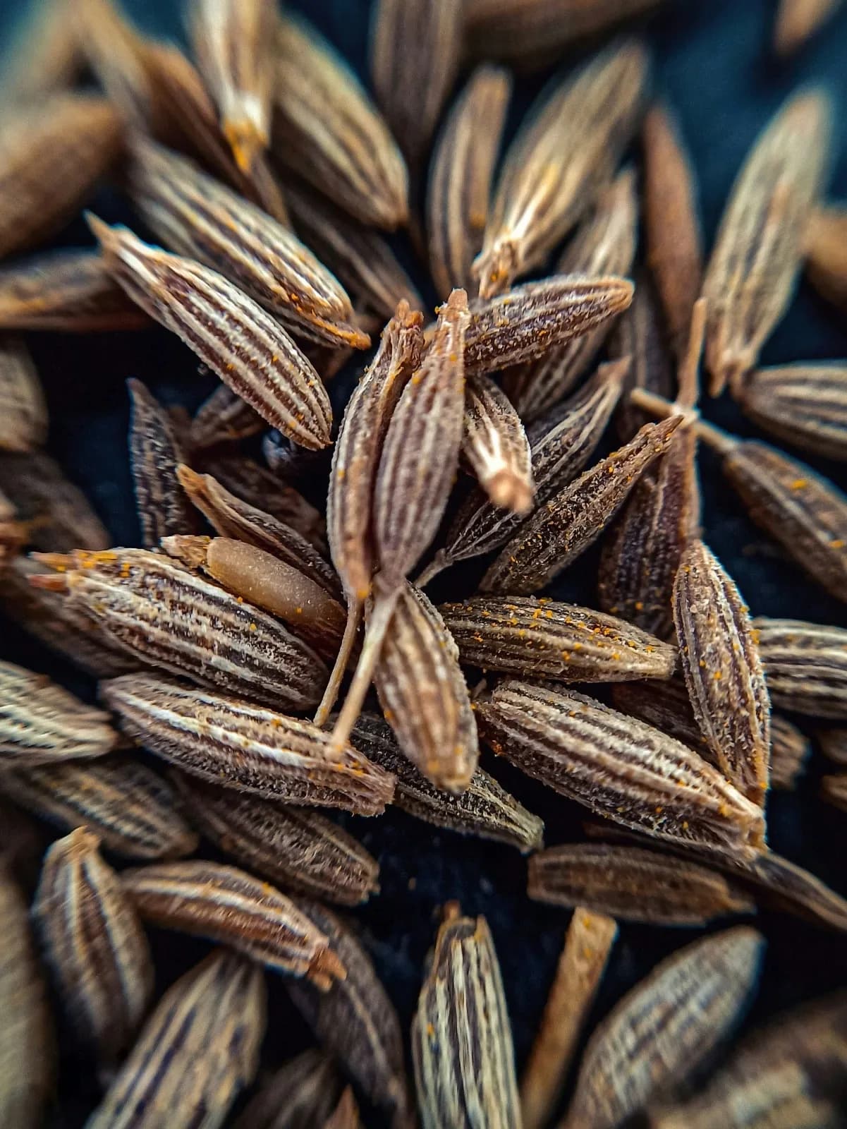 Macro texture of Sortex-cleaned cumin seeds