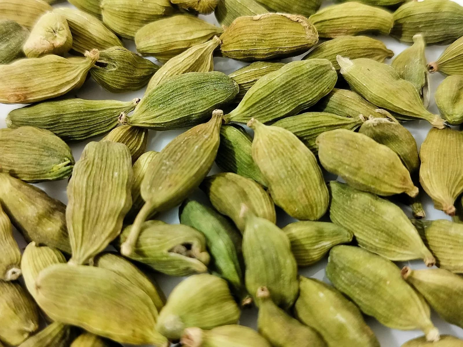Whole green cardamom pods used as quality reference photography